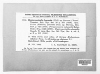 Image Associated With the Occurence
